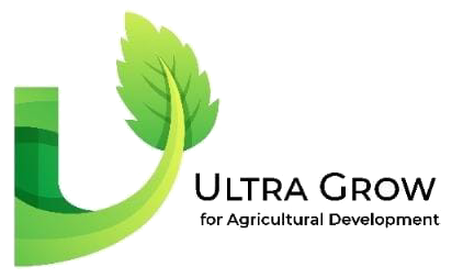 Ultra Glow Logo